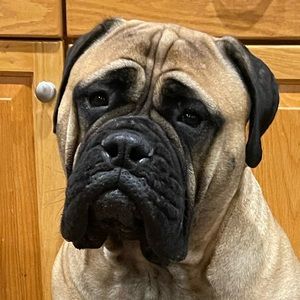 Meet your Posher, Phil